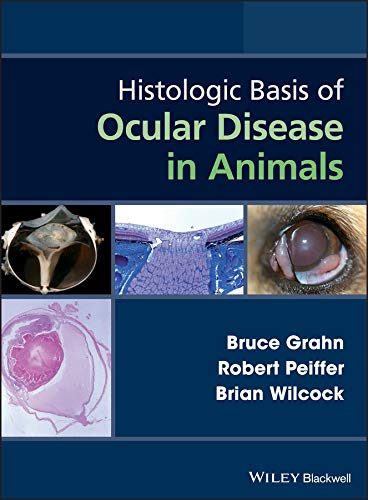 Algopix Similar Product 17 - Histologic Basis of Ocular Disease in