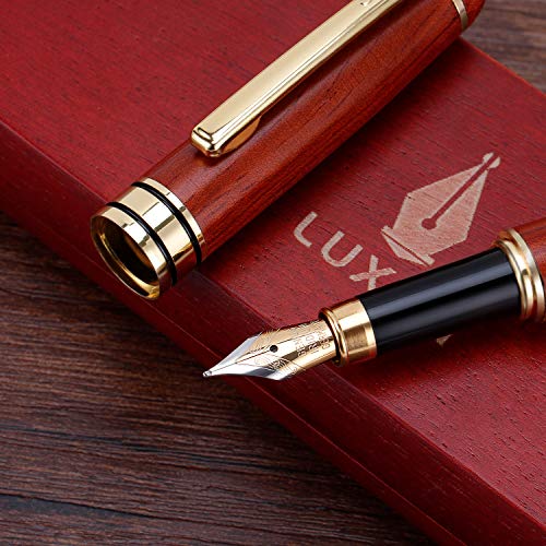 Algopix Similar Product 14 - Fountain Pen Writing Set Case