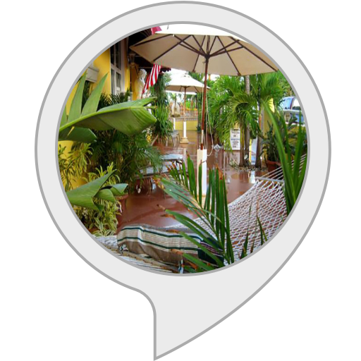 Algopix Similar Product 3 - Tropical Lounge Music