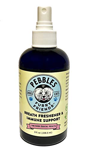 Algopix Similar Product 16 - Pebbles Breath Freshener  Immune