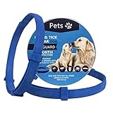 Algopix Similar Product 20 - Cat Tunnel Cat Toy 4Way Cat Tunnel