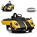 Algopix Similar Product 4 - Pagani Zonda R Roadster Electric Ride