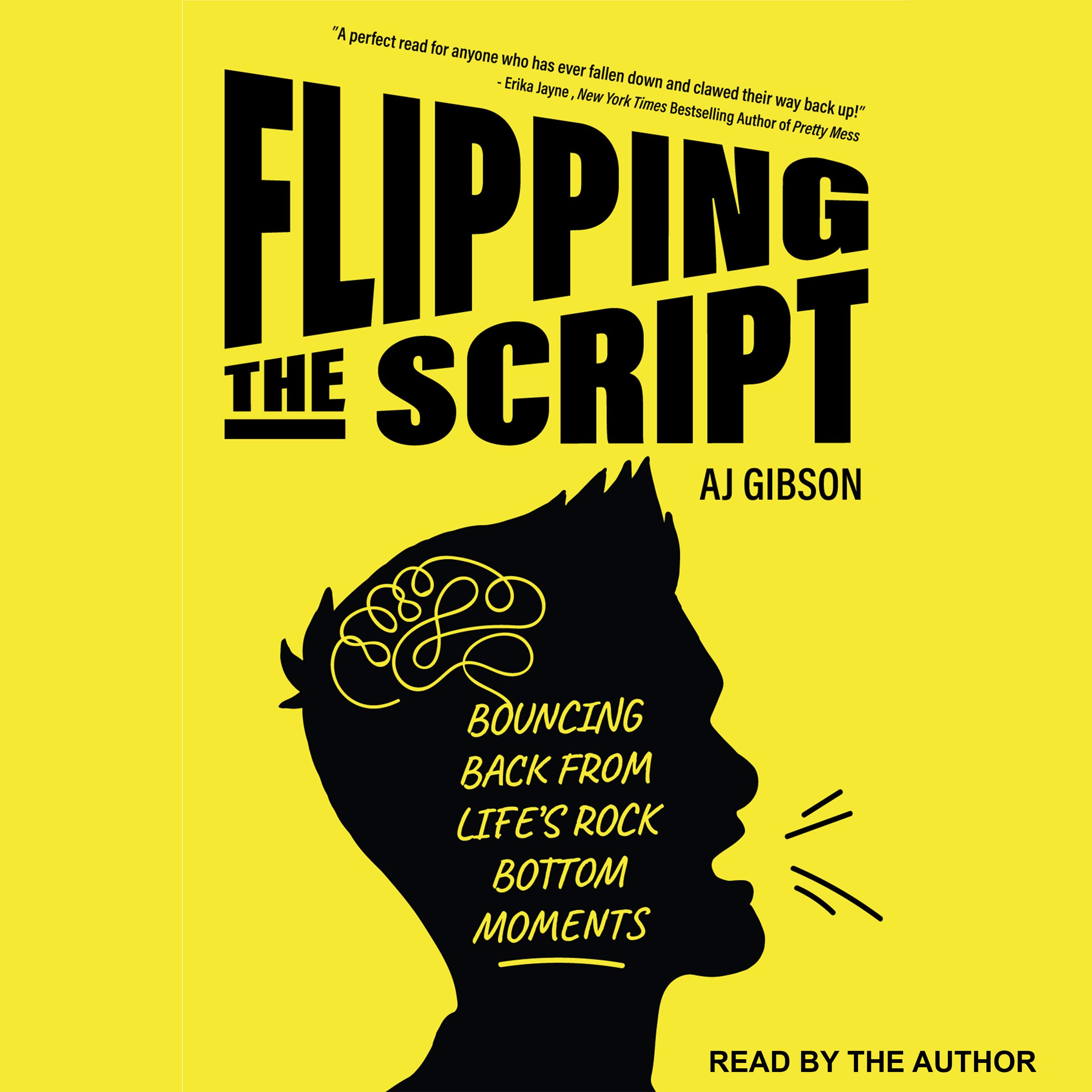 Algopix Similar Product 8 - Flipping the Script Bouncing Back from