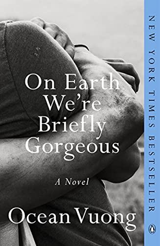 Algopix Similar Product 12 - On Earth We're Briefly Gorgeous: A Novel