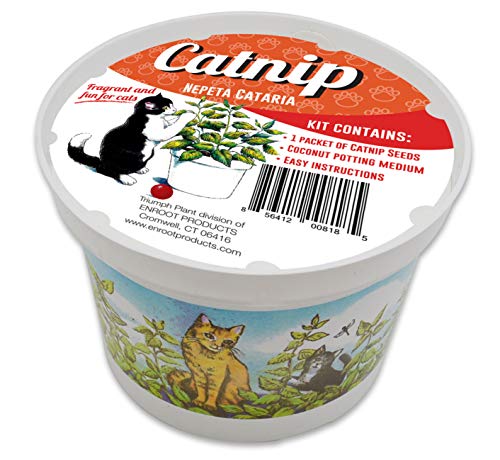 Algopix Similar Product 10 - Enroot Products Fragrant  Fun for Cats