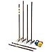Algopix Similar Product 12 - Franklin Sports Croquet Set  includes