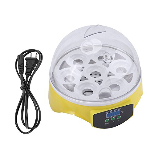 Algopix Similar Product 3 - 7 Egg Incubator Mini Automatic Clear