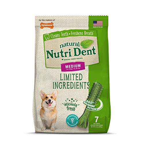 Algopix Similar Product 7 - Nylabone Nutri Dent Natural Dental