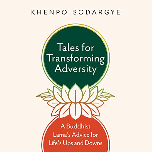 Algopix Similar Product 3 - Tales for Transforming Adversity A