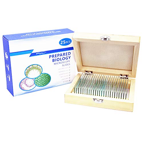 Algopix Similar Product 7 - 25 Prepared Microscope Slides for Kids