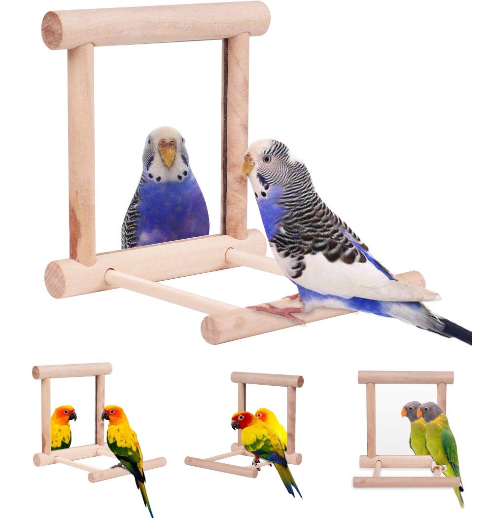 Algopix Similar Product 19 - HAPPTYTOY Bird Toy for Parrot Parakeets