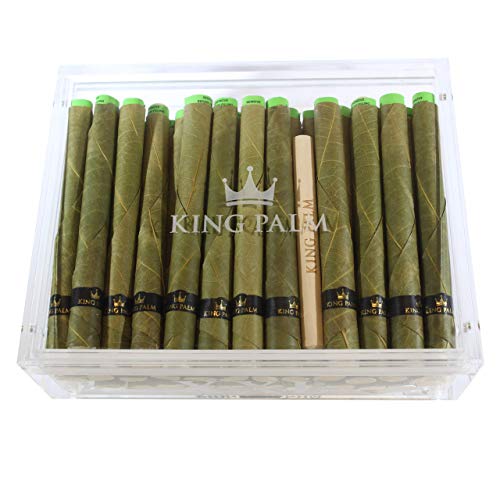 Algopix Similar Product 15 - King Palm XXL Humidor Natural Palm