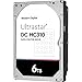 Algopix Similar Product 12 - Western Digital 6TB Ultrastar DC HC310