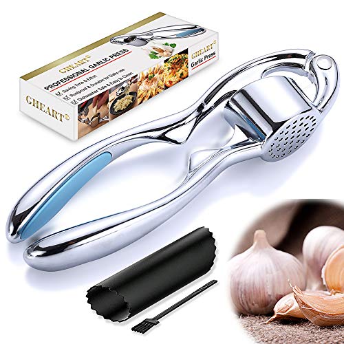 Algopix Similar Product 2 - Garlic Mincer  Crusher Garlic Press