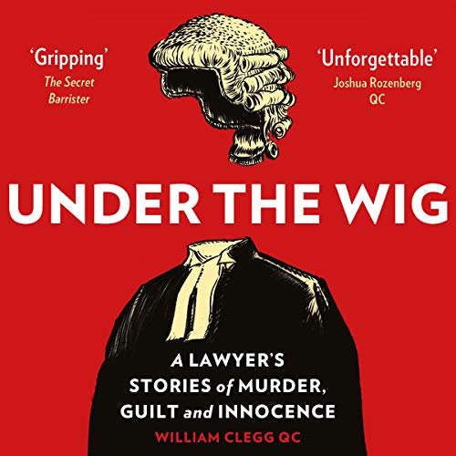 Algopix Similar Product 4 - Under the Wig A Lawyers Stories of