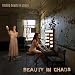 Algopix Similar Product 10 - Finding Beauty in Chaos [Explicit]
