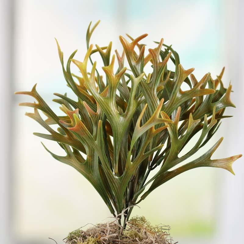 Algopix Similar Product 14 - Factory Direct Craft Artificial Green