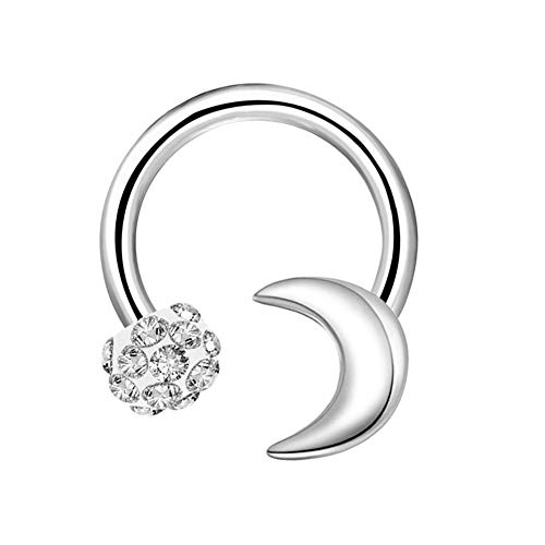 Algopix Similar Product 8 - OUFER 16G Surgical Steel Horseshoe
