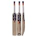 Algopix Similar Product 16 - SS Kashmir Willow Leather Ball Cricket