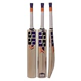 Algopix Similar Product 20 - SS Kashmir Willow Leather Ball Cricket