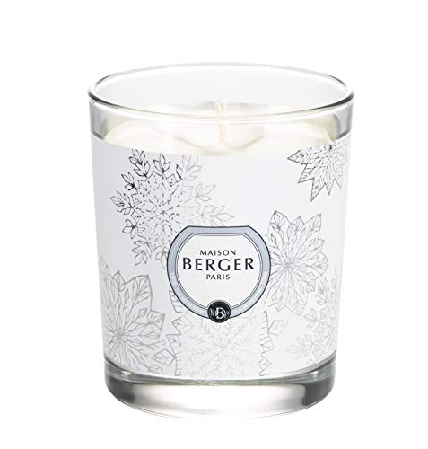 Algopix Similar Product 3 - Festive Fir Candle  Graphique