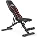 Algopix Similar Product 13 - FLYBIRD Adjustable BenchUtility Weight