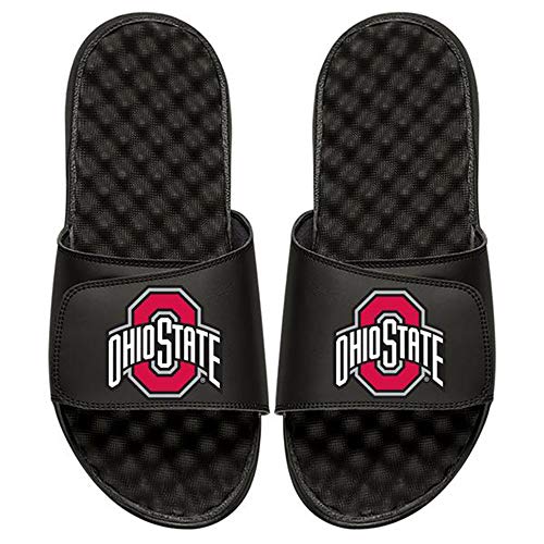Algopix Similar Product 19 - ISlide Ohio State University Buckeyes