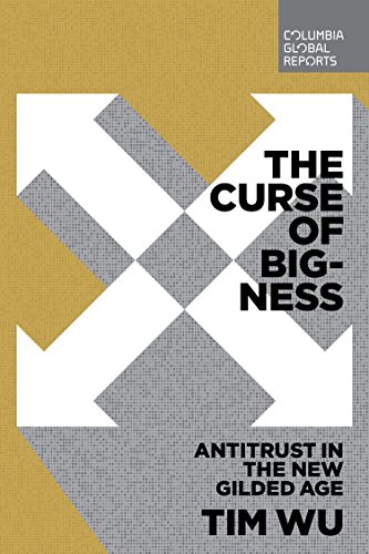 Algopix Similar Product 3 - The Curse of Bigness Antitrust in the