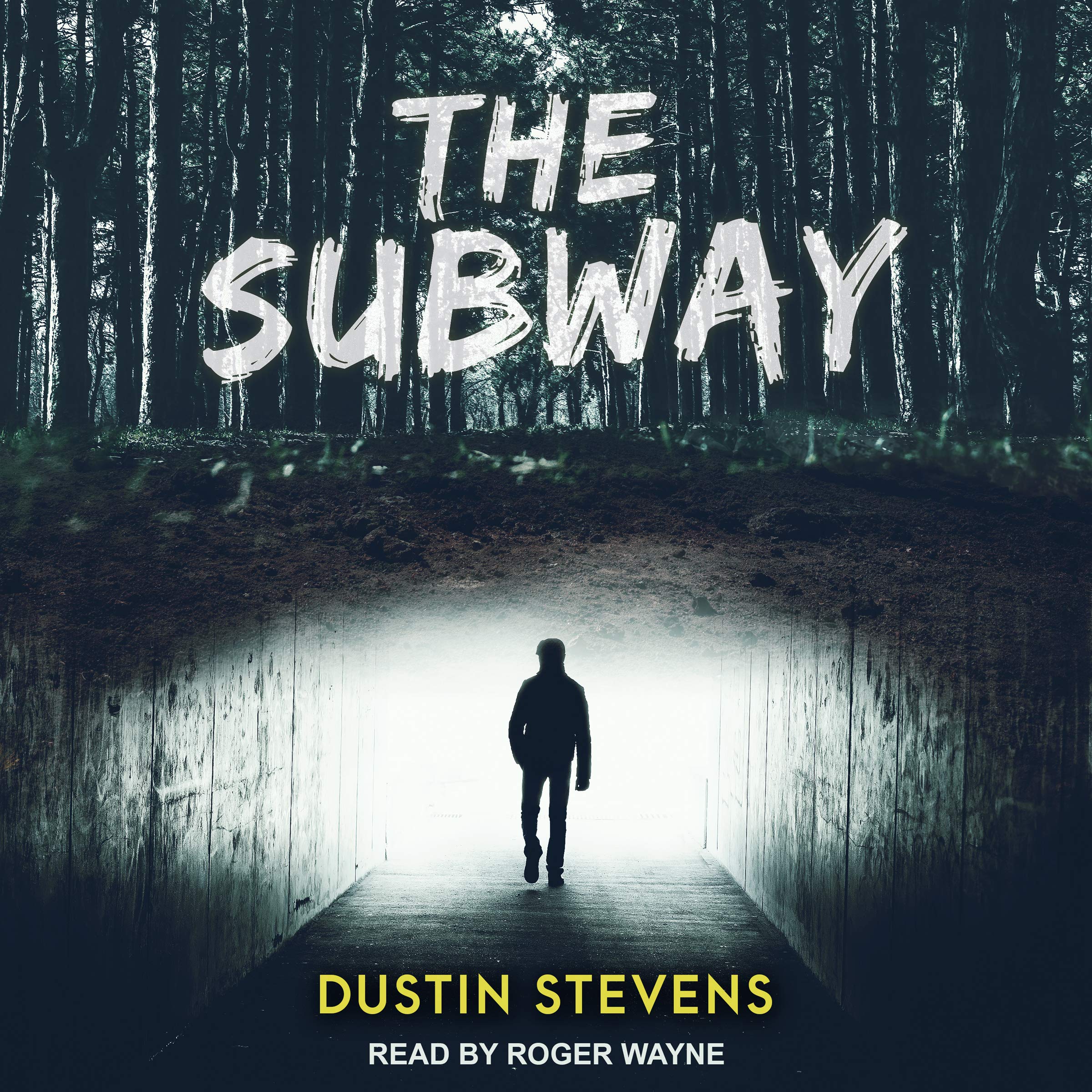 Algopix Similar Product 20 - The Subway: A Suspense Thriller