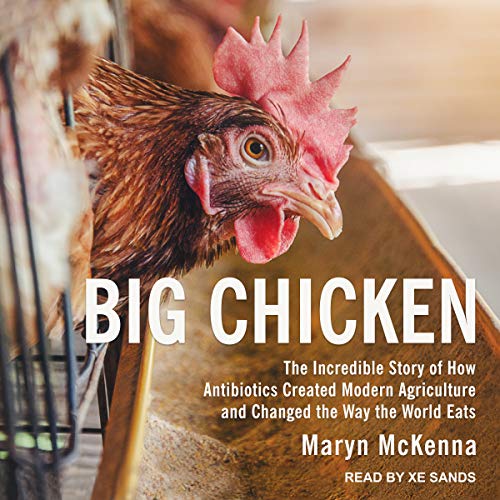 Algopix Similar Product 3 - Big Chicken The Incredible Story of