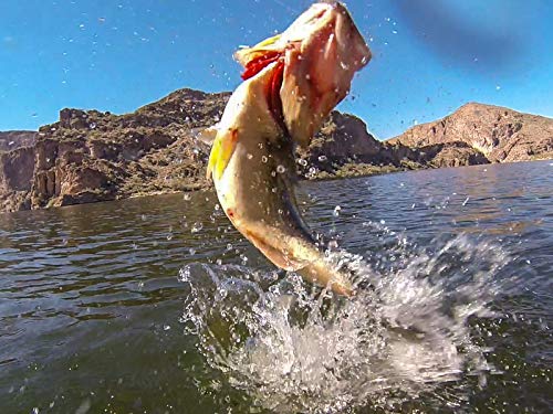 Algopix Similar Product 15 - Fishing the Tokyo Rig with Gary Senft