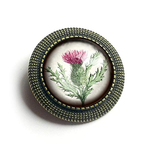 Algopix Similar Product 8 - Scottish Thistle Glass And Brass Brooch