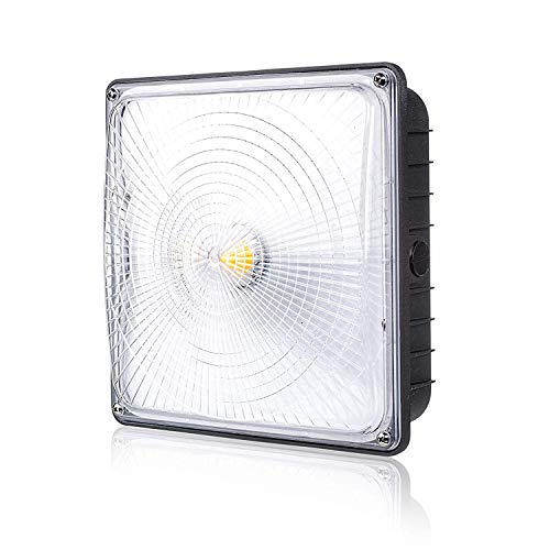 Algopix Similar Product 11 - Parmida LED Canopy Light 70W