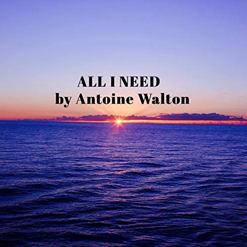 Algopix Similar Product 14 - ALL I Need