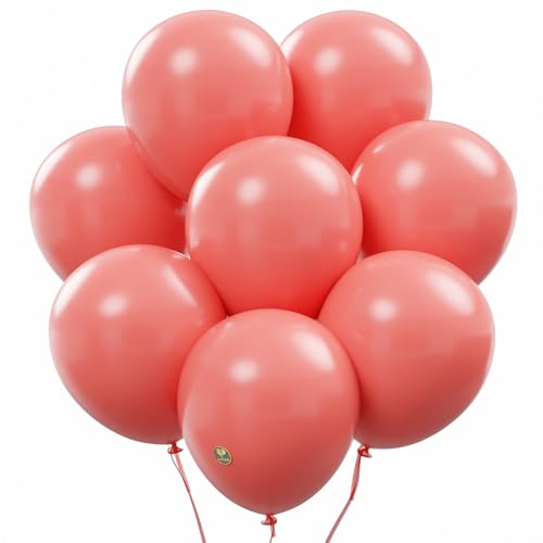 Algopix Similar Product 16 - AFTERLOON Biodegradable Balloons 100