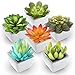 Algopix Similar Product 13 - Pack of 6  Mini Fake Succulents