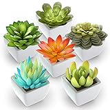 Algopix Similar Product 3 - Pack of 6  Mini Fake Succulents