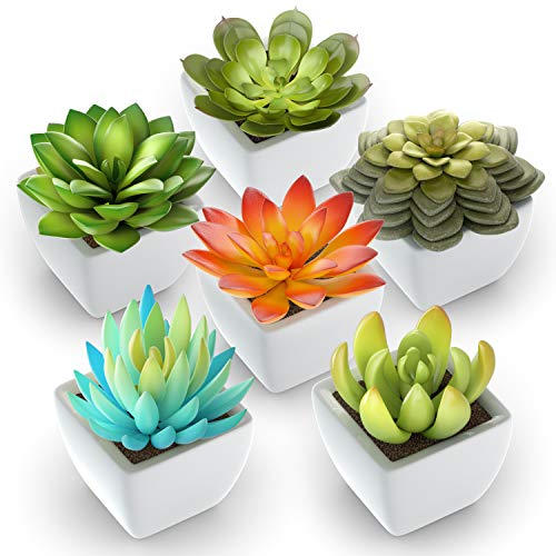 Algopix Similar Product 15 - Pack of 6  Mini Fake Succulents