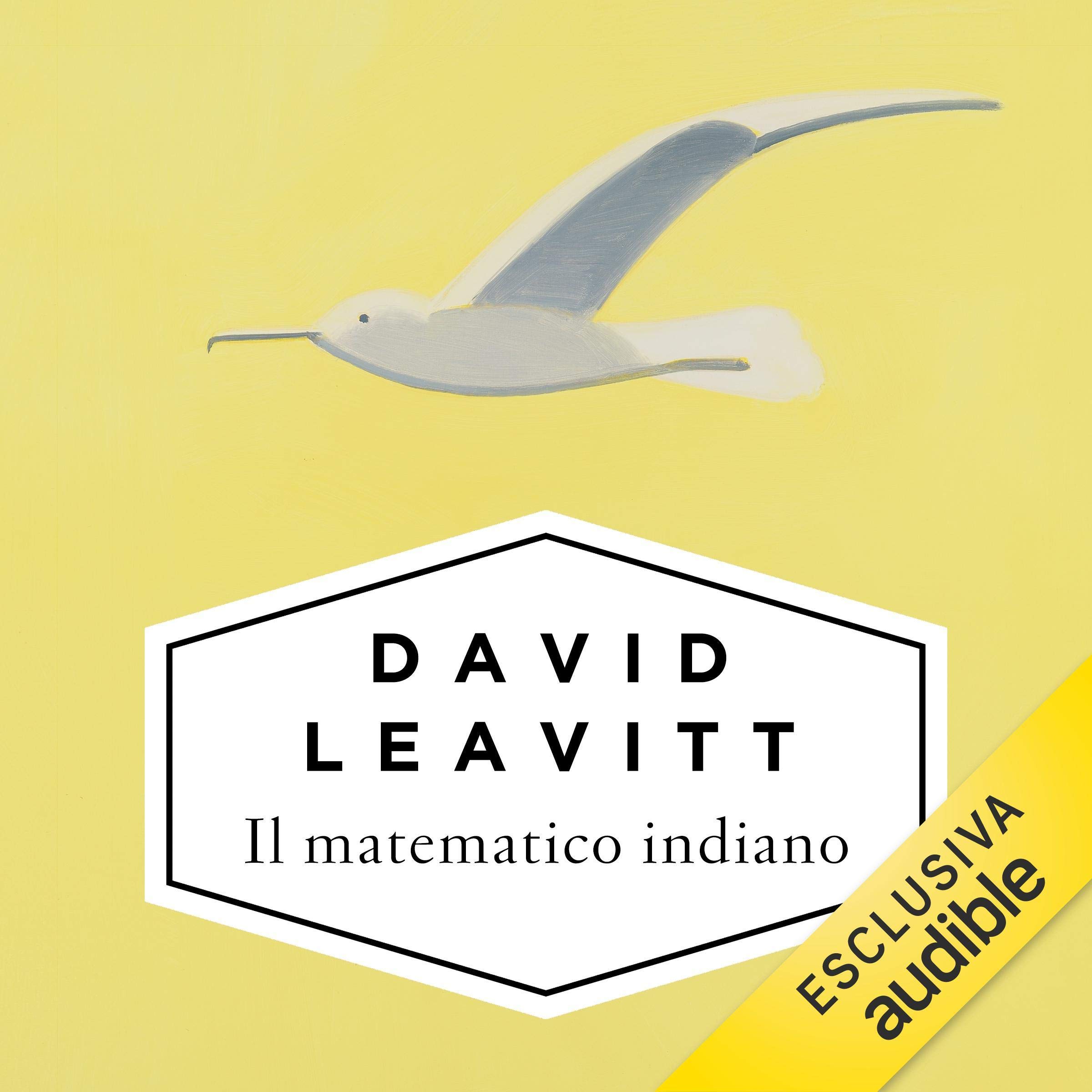 Algopix Similar Product 10 - Il matematico indiano