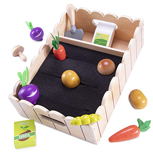 Algopix Similar Product 11 - My Little Garden  Growing Vegetables