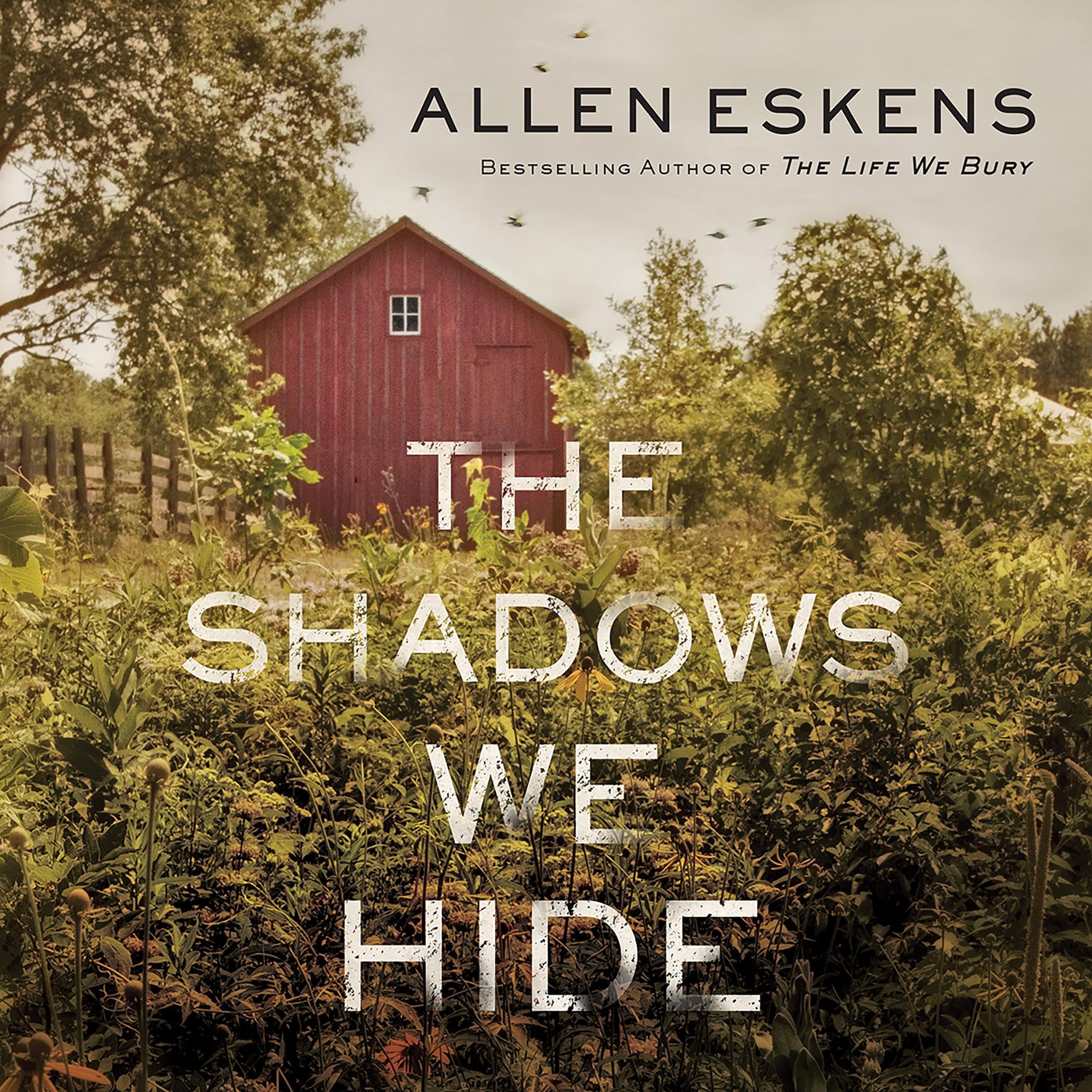 Algopix Similar Product 7 - The Shadows We Hide