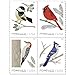Algopix Similar Product 16 - Birds in Winter 2018 Forever Stamps