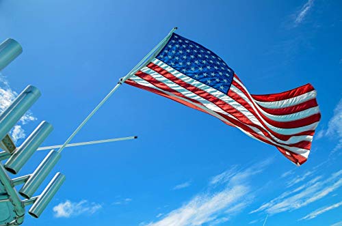 Algopix Similar Product 6 - 6 Foot Boating Flagpole for Rod Holders