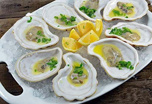 Algopix Similar Product 20 - Jefferson Street  Ceramic Oyster