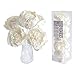 Algopix Similar Product 1 - 5 DIY Peony Brides Dream 3 Sola Flower