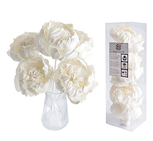 Algopix Similar Product 5 - 5 DIY Peony Brides Dream 3 Sola Flower