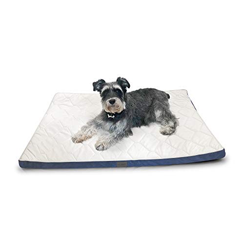 Algopix Similar Product 7 - 