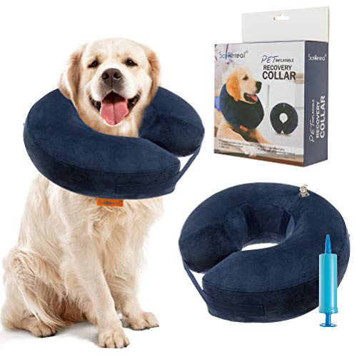 Algopix Similar Product 17 - SCENEREAL Inflatable Recovery Collar