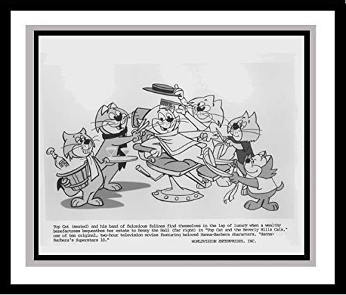 Algopix Similar Product 2 - Top Cat and the Beverly Hills Cats