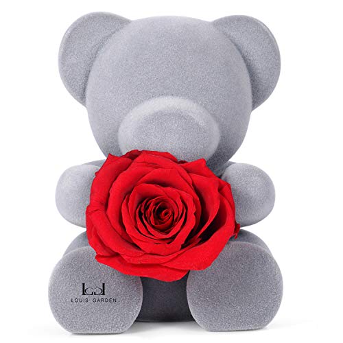 Algopix Similar Product 20 - Louis Garden Handmade Preserved Fresh